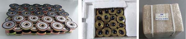 Fixing Magnets Insert Magnet package Fixing Magnets Insert Magnet package